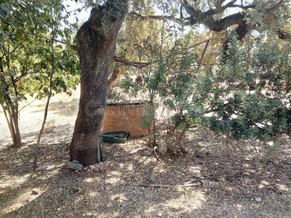 TERRENO RUSTICO EN URBANIZACION LA COLINA - foto 4