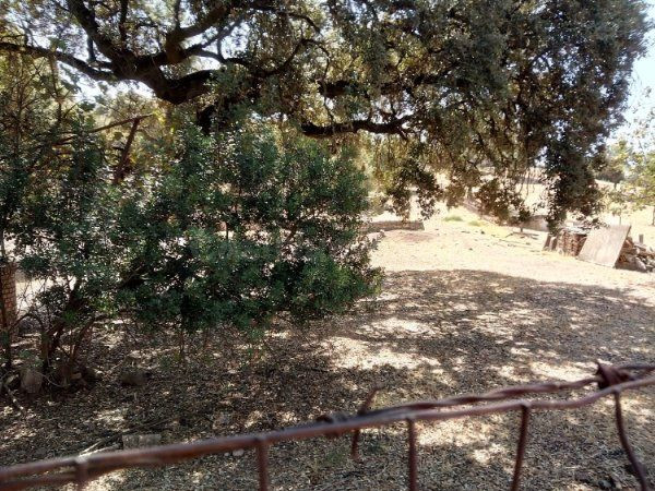 TERRENO RUSTICO EN URBANIZACION LA COLINA - foto 5
