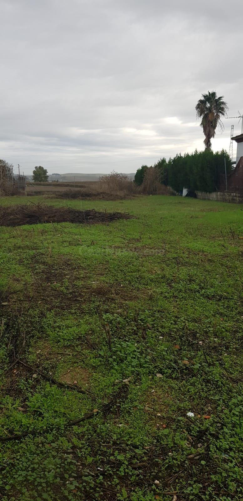🏭 Terreno Industrial en Venta – 1.011 m2 | Ubicación Estraté - foto 3