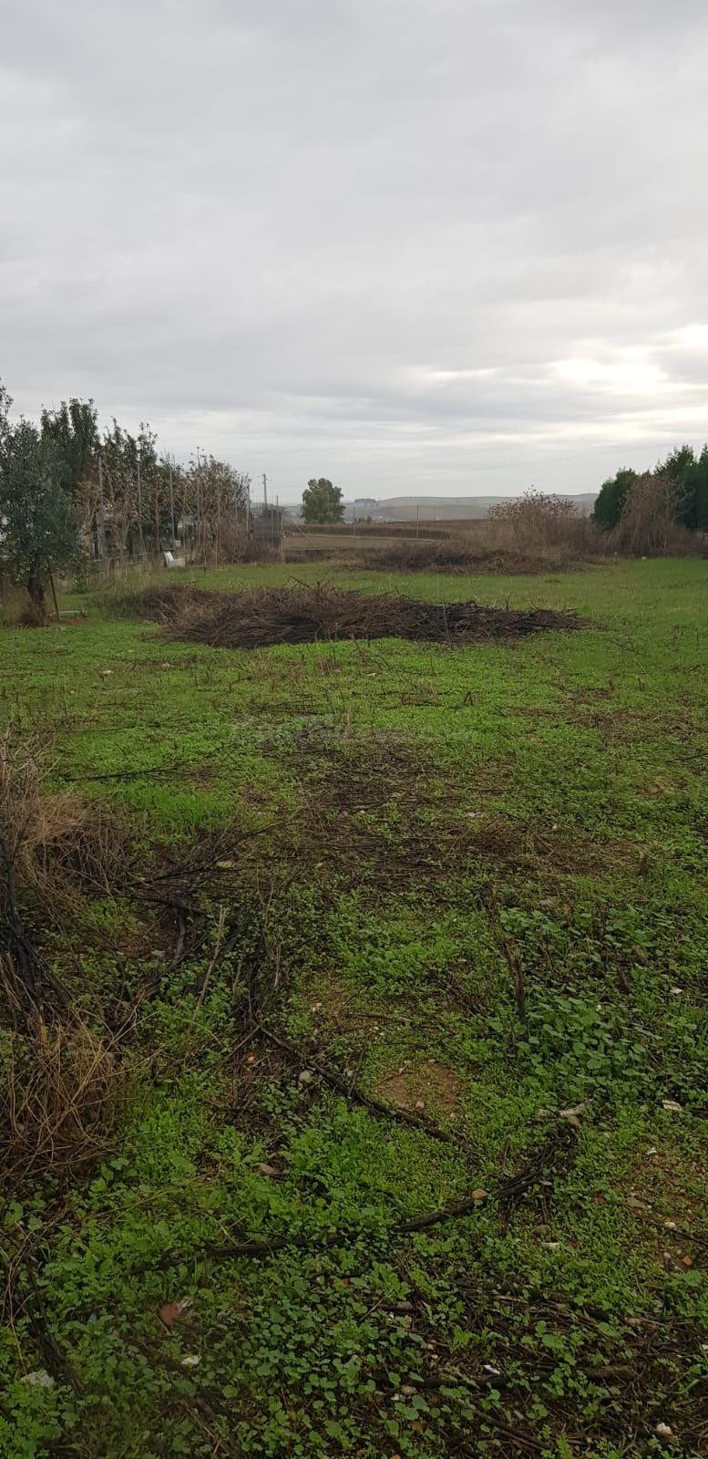 🏭 Terreno Industrial en Venta – 1.011 m2 | Ubicación Estraté - foto 4