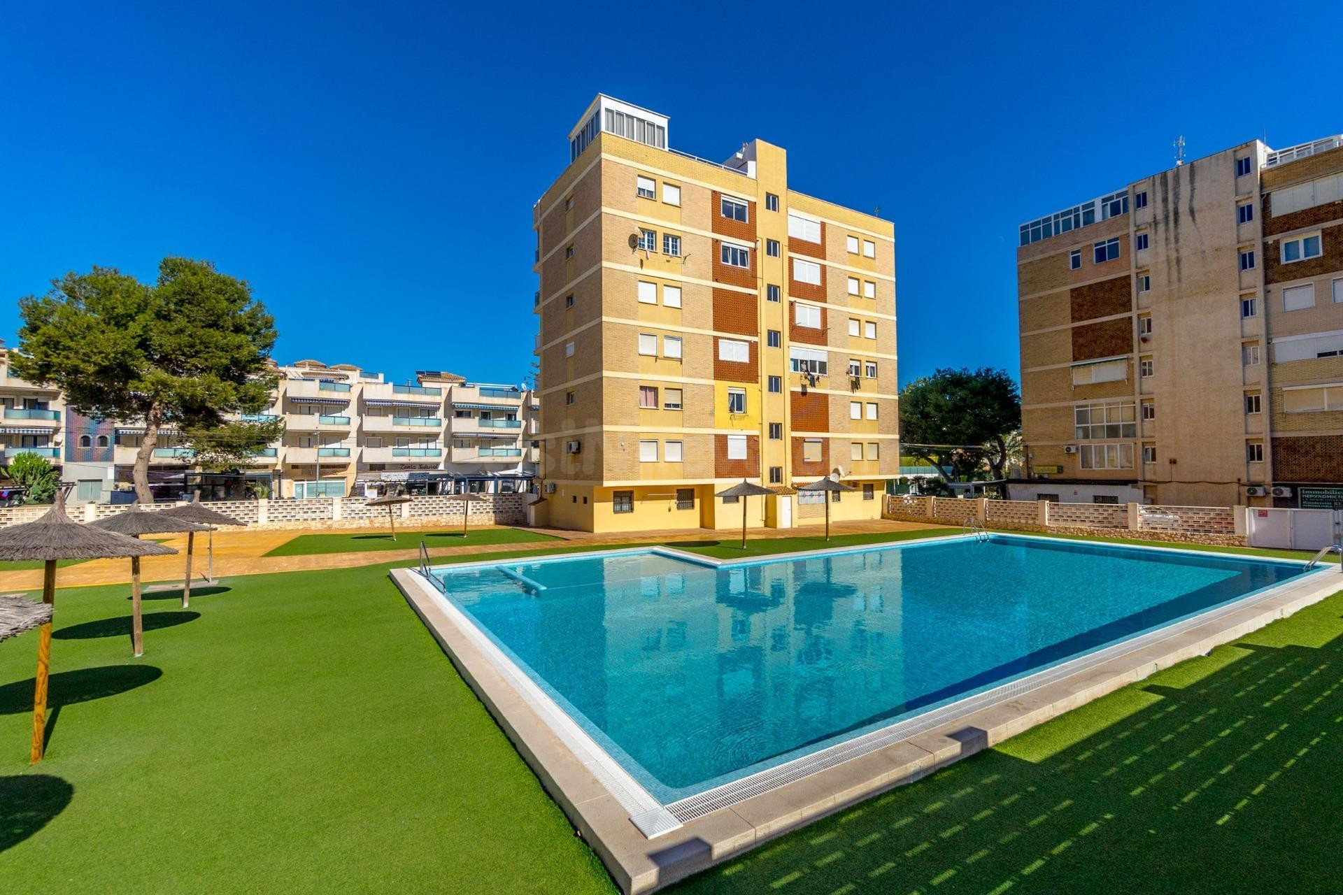 APARTAMENTO DE 4 DORMITORIOS 3 BAÑOS EN LA ZENIA ( ORIHUELA  - foto 3