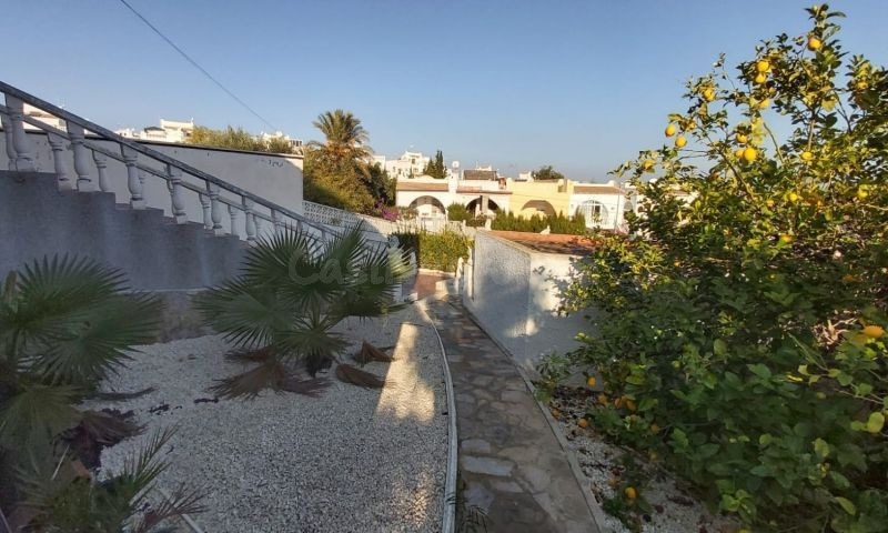 CHALET PAREADO EN TORREVIEJA - foto 3