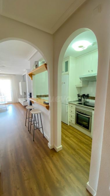 APARTAMENTO DE 2 DORMITORIOS Y 1 BAÑO EN MIL PALMERAS (ORIHU - foto 4