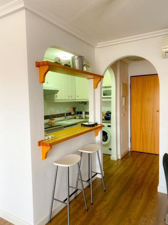 APARTAMENTO DE 2 DORMITORIOS Y 1 BAÑO EN MIL PALMERAS (ORIHU - foto 5