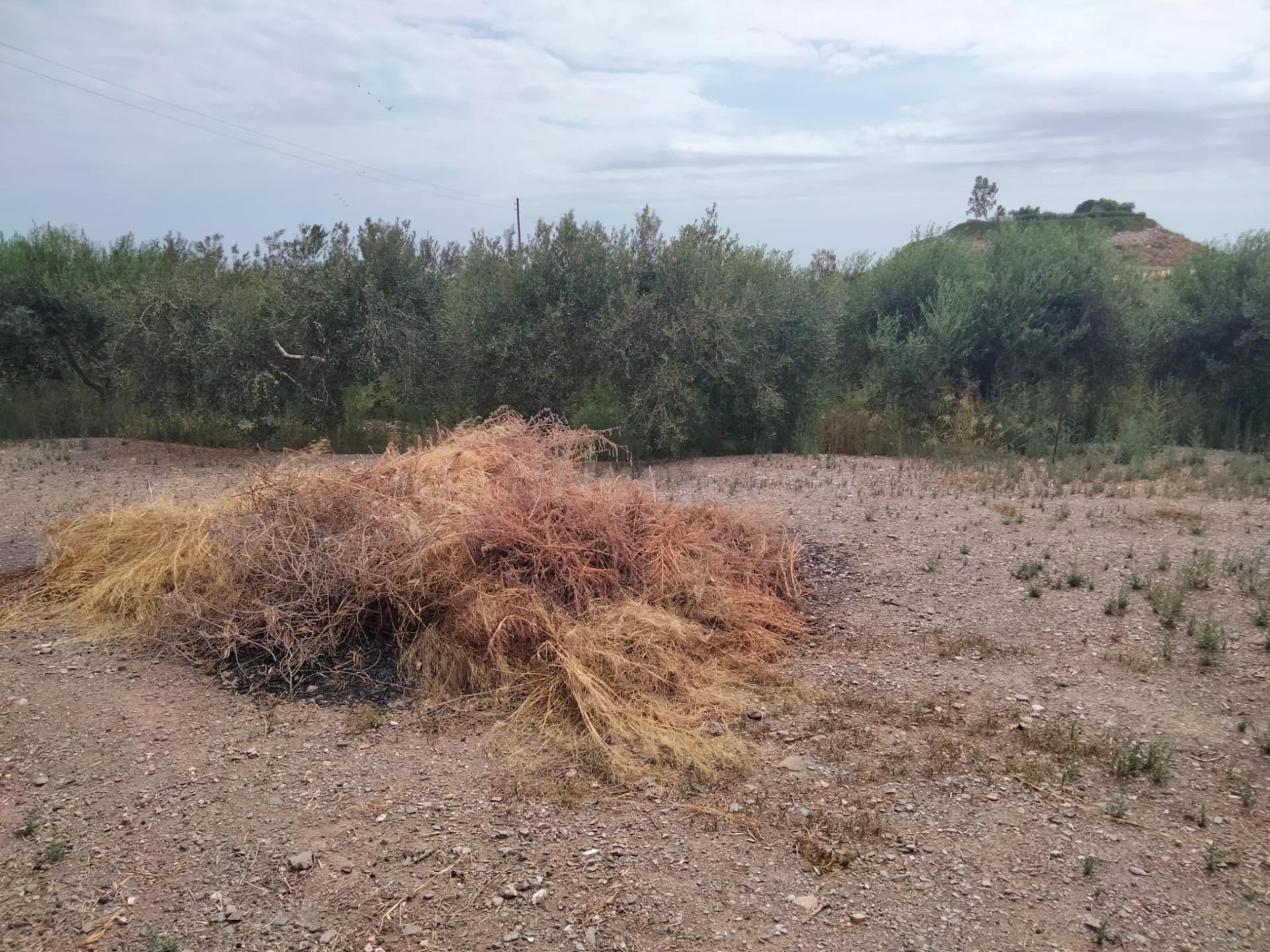 Casa rústica de 128m2 en Maria de Cope, Águilas, con 6.000 m - foto 4