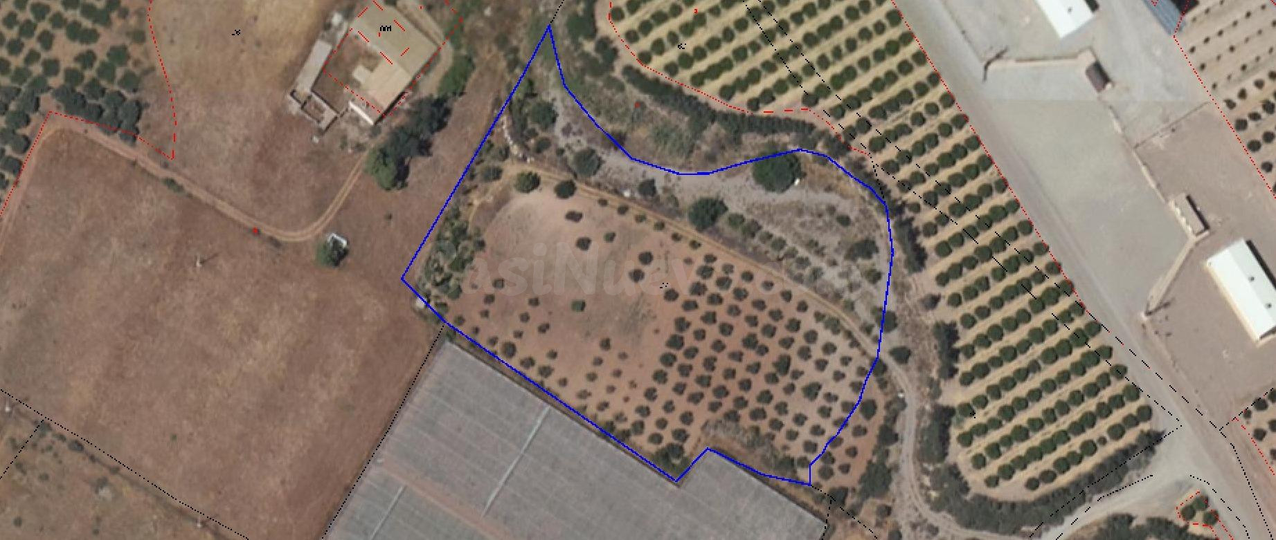 Terreno Rústico en Almendricos, Lorca con 10.000 m2 de parce