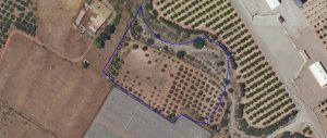 Terreno Rústico en Almendricos, Lorca con 10.000 m2 de parce - foto 2