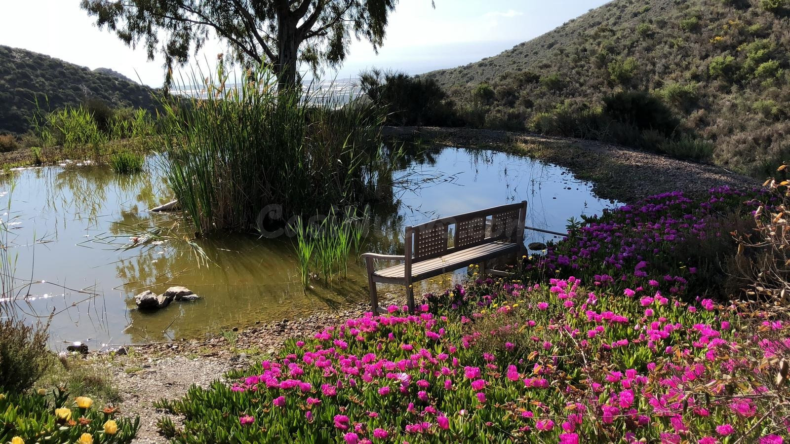 Magnifico Hotel Rural para inversión en la zona de Aguilas,  - foto 4
