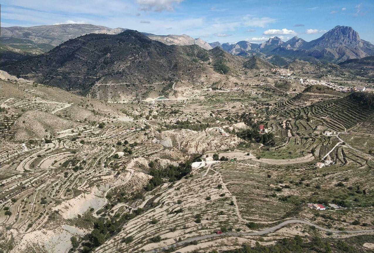 Terreno rústico con pinares y almendros