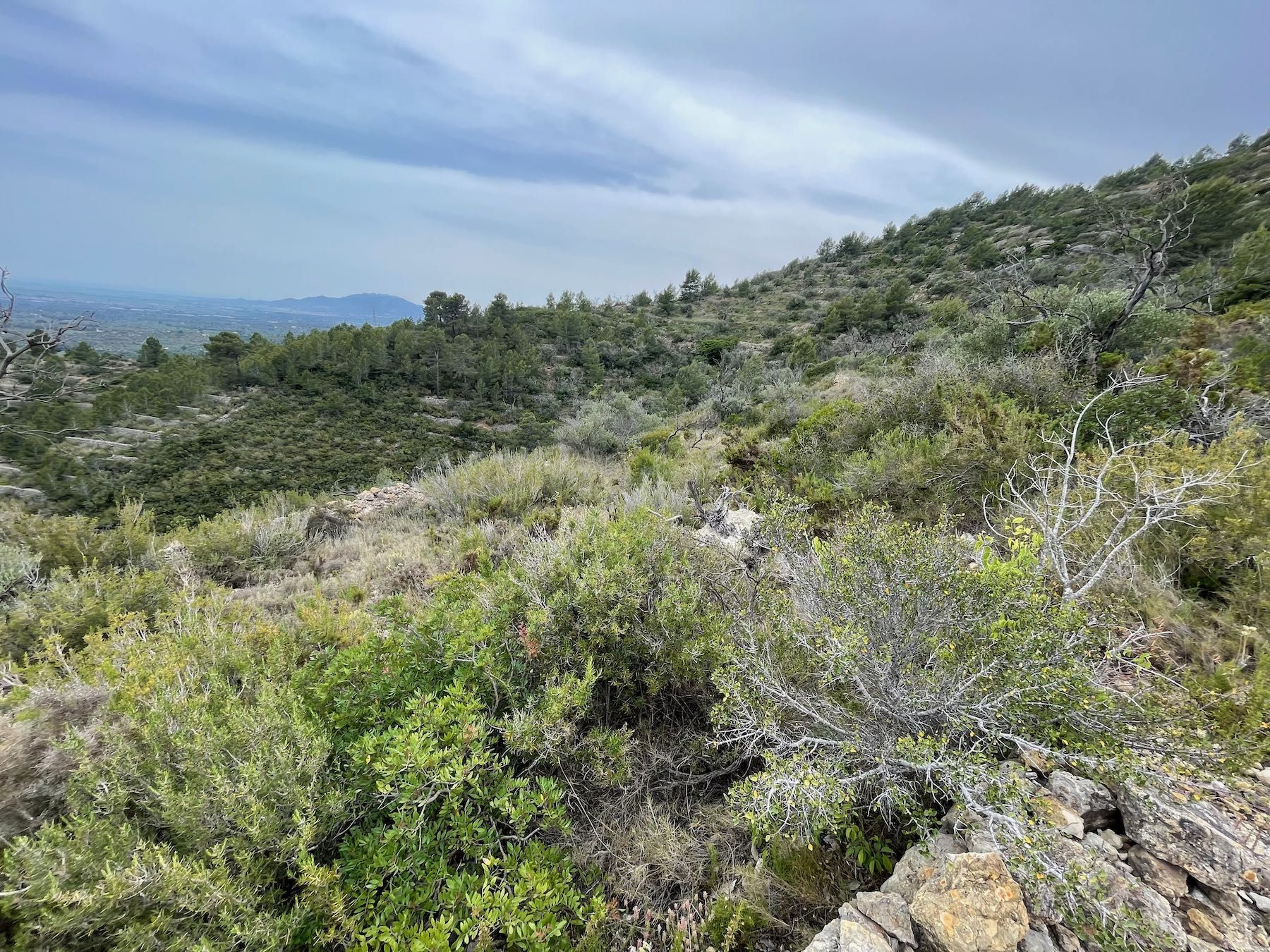 TERRENO RUSTICO EN TORTOSA - COLL DE L'ALBA-