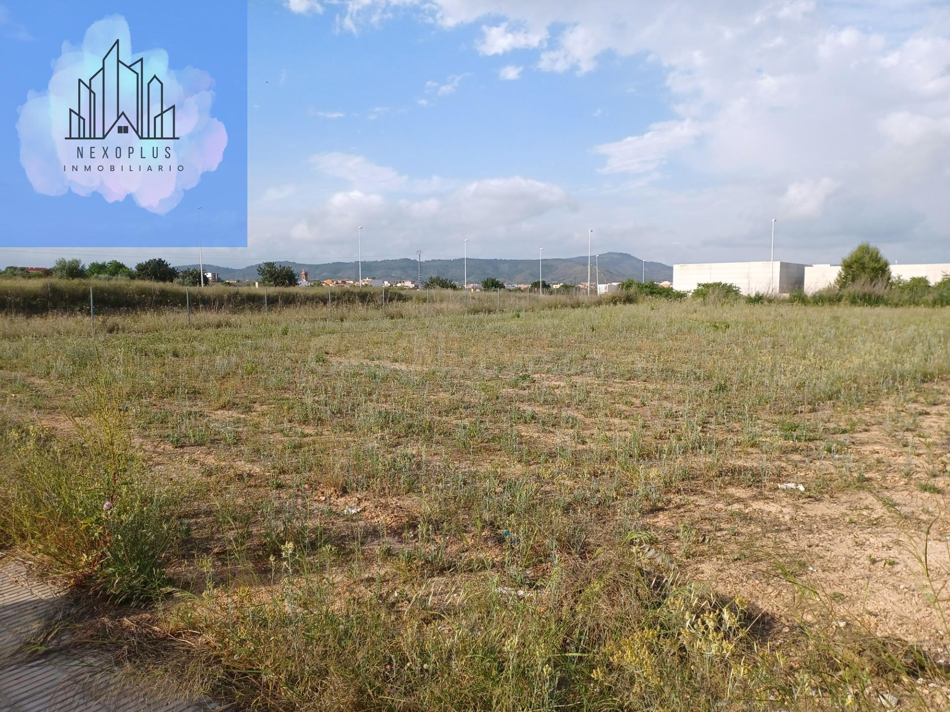 Parcela en venta Partida Olivares. Barranquet. Catadau - foto 2