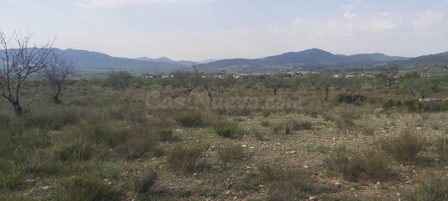 Finca rústica en Salinas