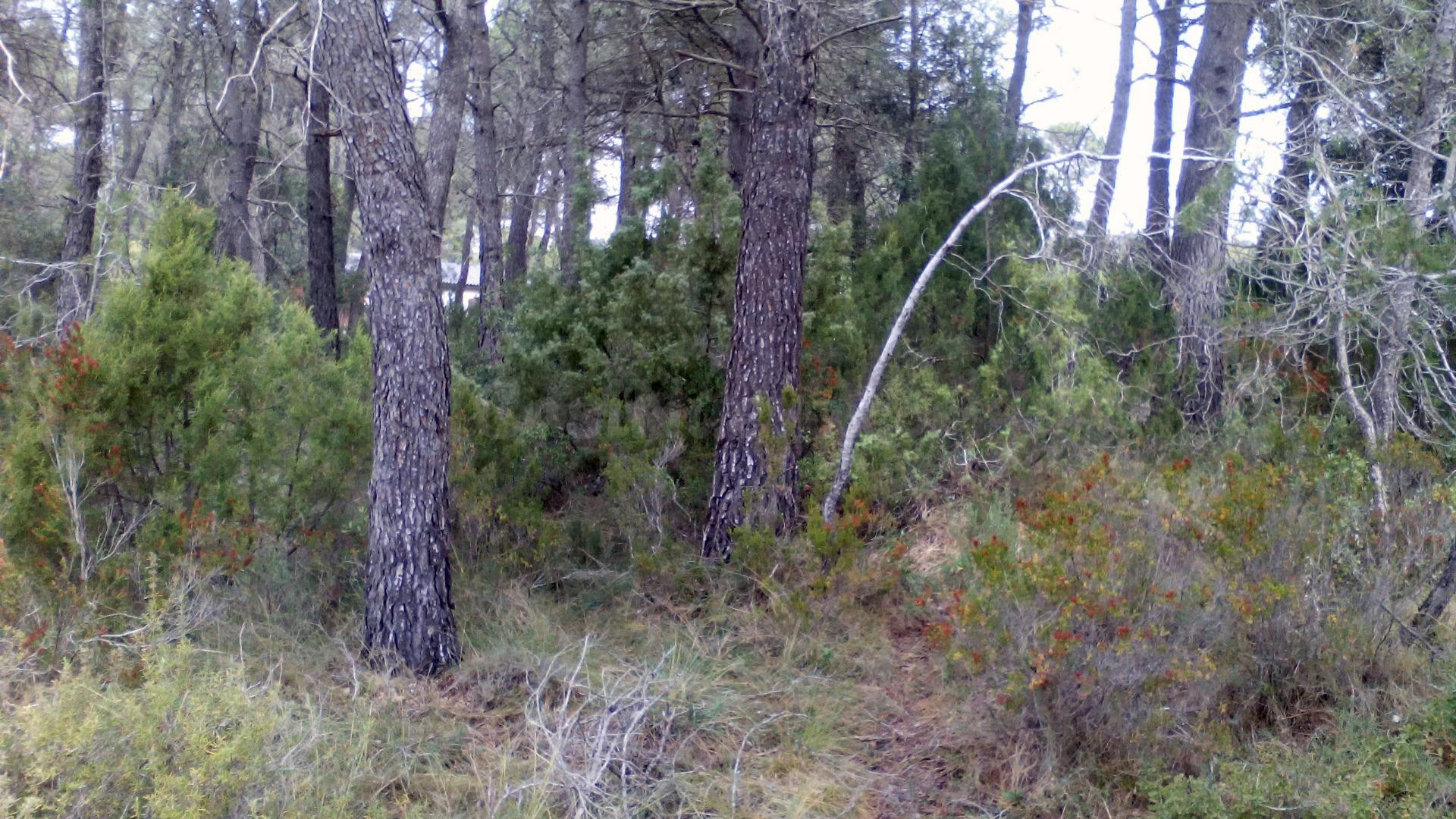 TERRENO DE 1000M2 EN LA ZONA RESIDENCIAL MAS BERMELL, TARRAGONA