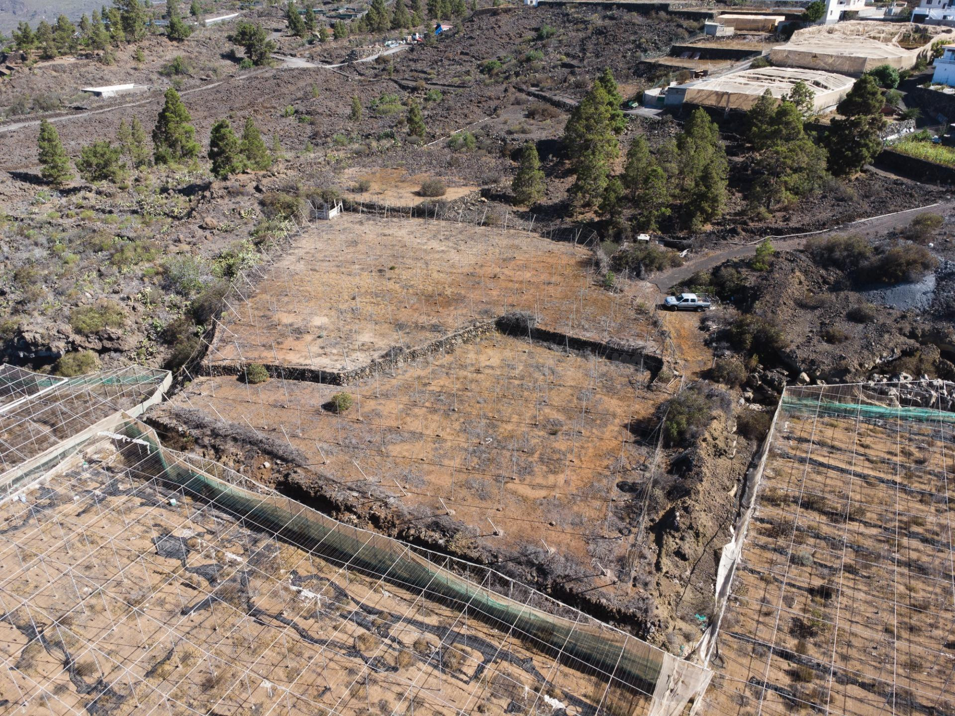 Terreno agrícola en Arguayo con posibilidades de explotación y construcciones auxiliares