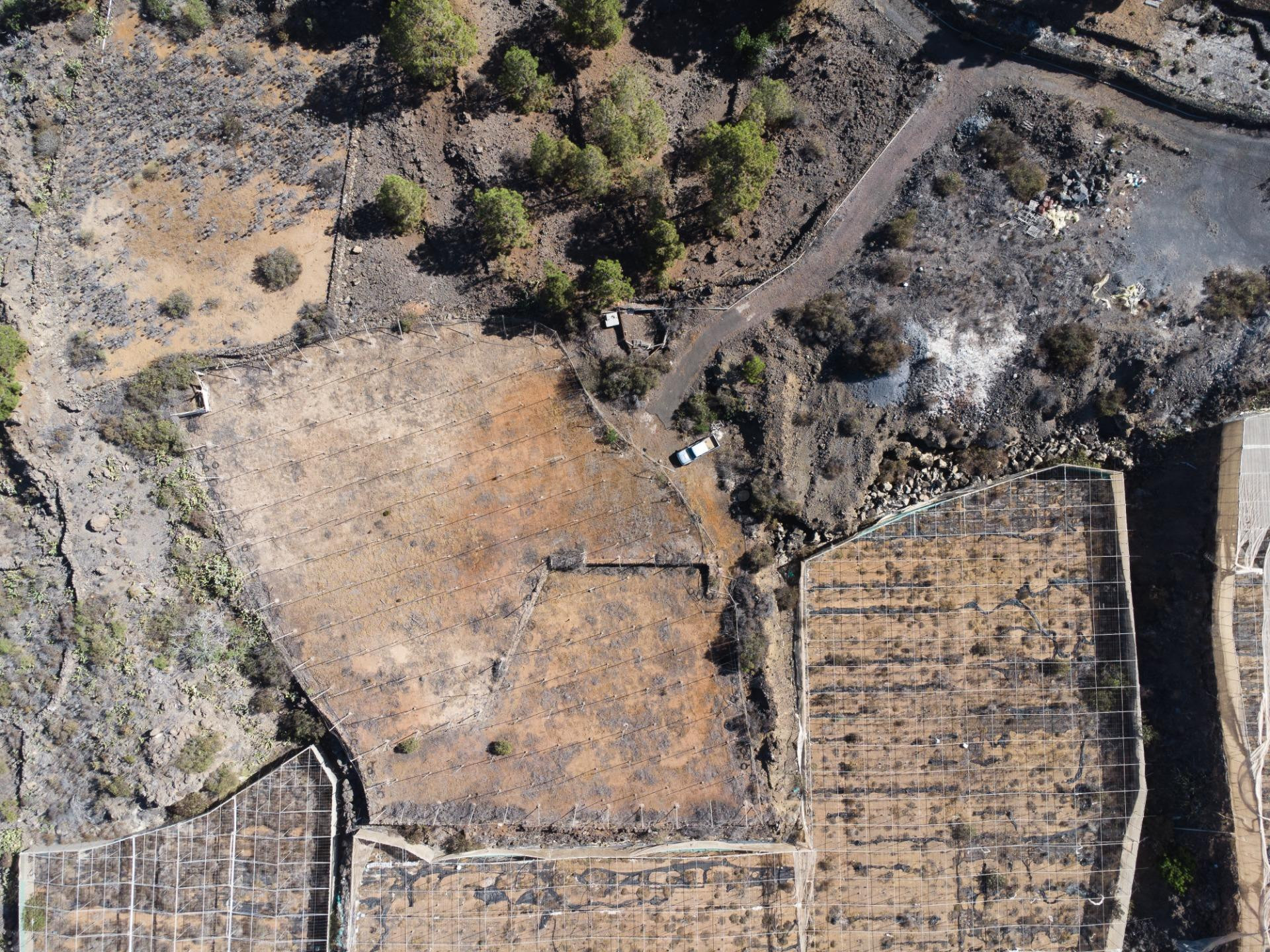Terreno agrícola en Arguayo con posibilidades de explotación - foto 2