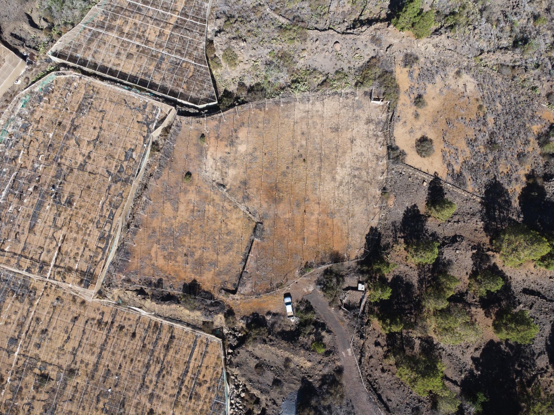 Terreno agrícola en Arguayo con posibilidades de explotación - foto 3