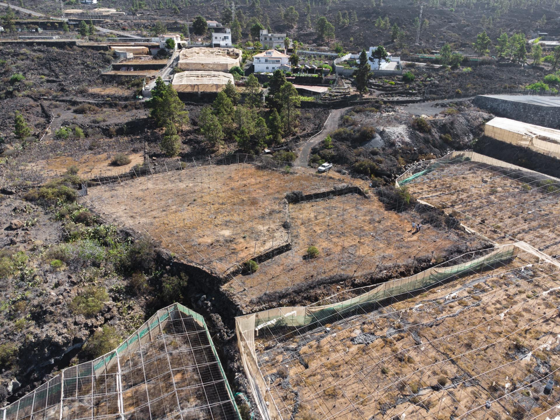 Terreno agrícola en Arguayo con posibilidades de explotación - foto 4