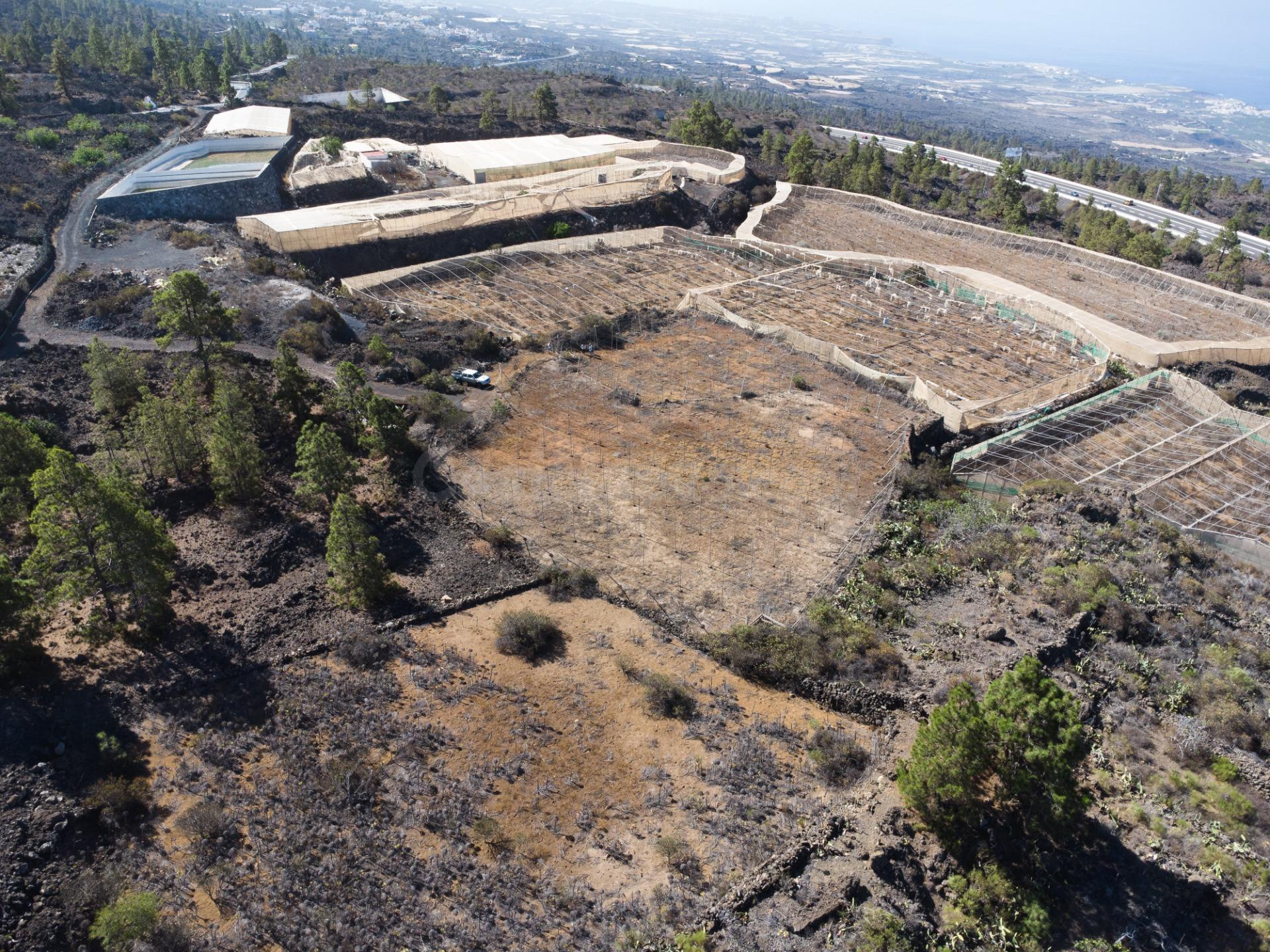 Terreno agrícola en Arguayo con posibilidades de explotación - foto 5
