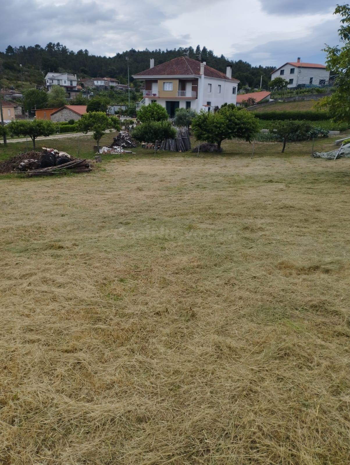 PARCELA AMOEIRO