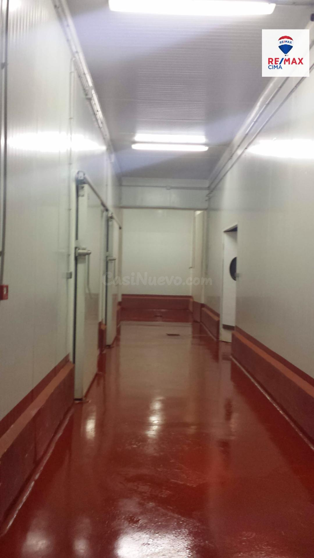 ALMACEN FRIGORIFICO Y CONGELACION. - foto 4