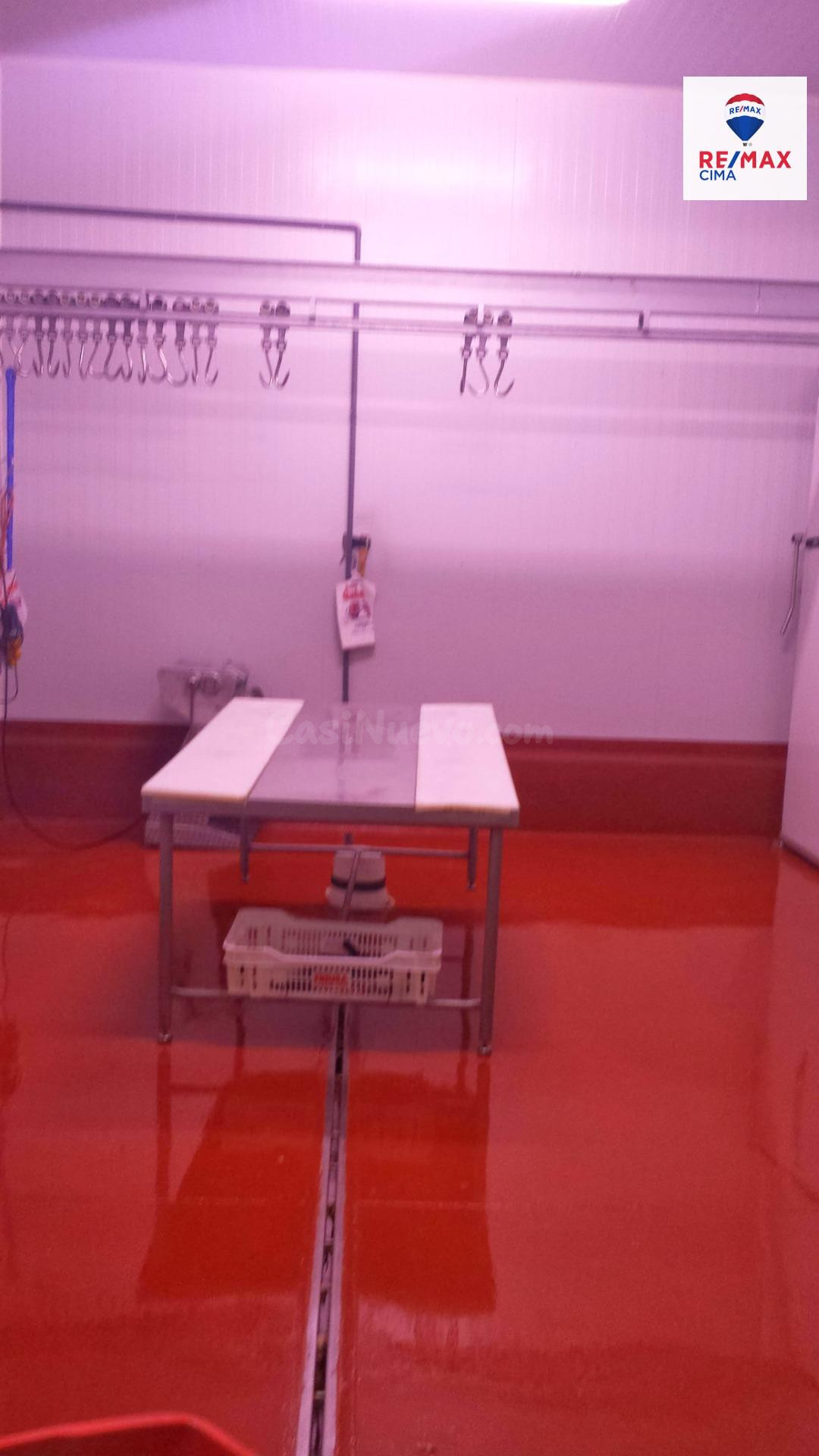 ALMACEN FRIGORIFICO Y CONGELACION. - foto 5