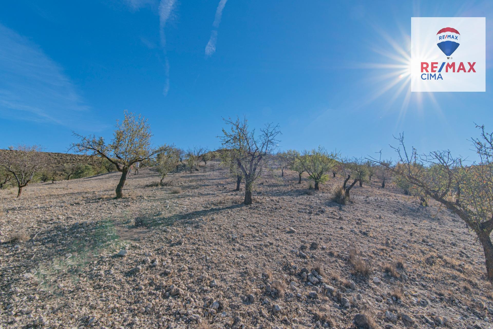 FINCA DE RECREO EN VENTA