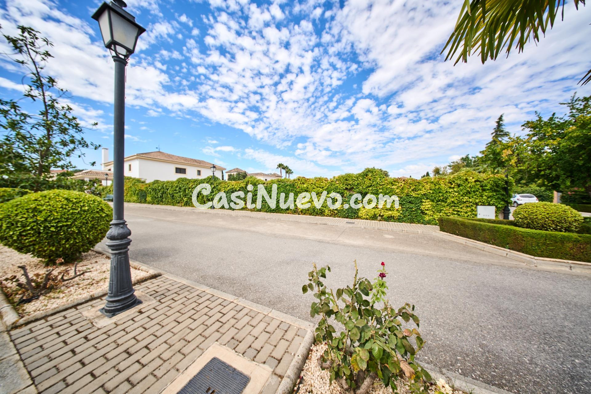 El "Ferrari" de las Parcelas: 1.000 m2 en La Romana para un  - foto 5