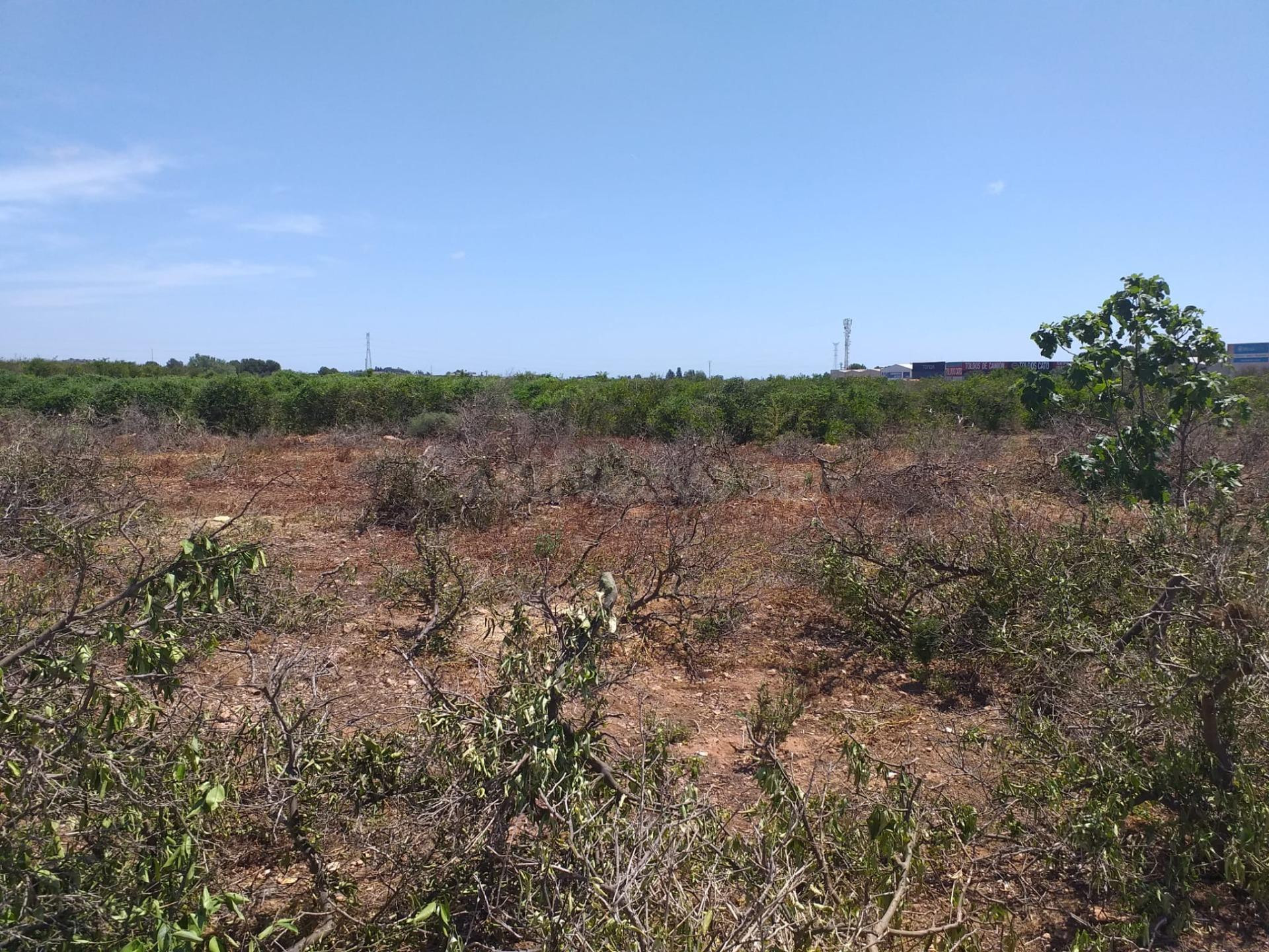 TERRENO ECONÓMICO RUSTICO A LA VENTA EN MONCADA.ZONA POLIGON - foto 4