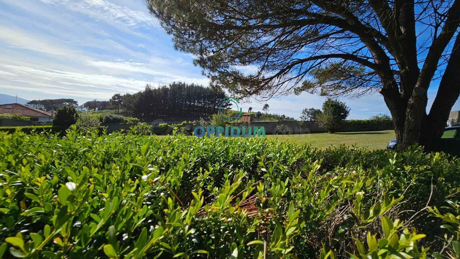 Venta finca rústica próxima a las playas en Carballo - foto 4