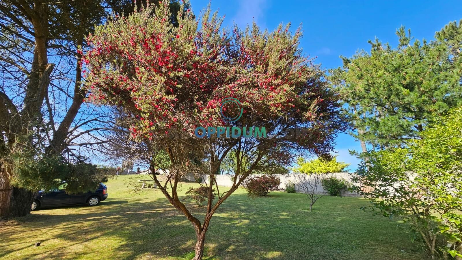 Venta finca rústica próxima a las playas en Carballo - foto 5