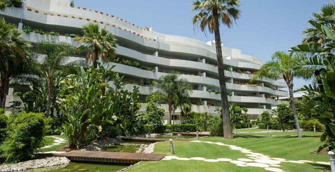 Embrujo Banus 4 dormitorios con terraza.