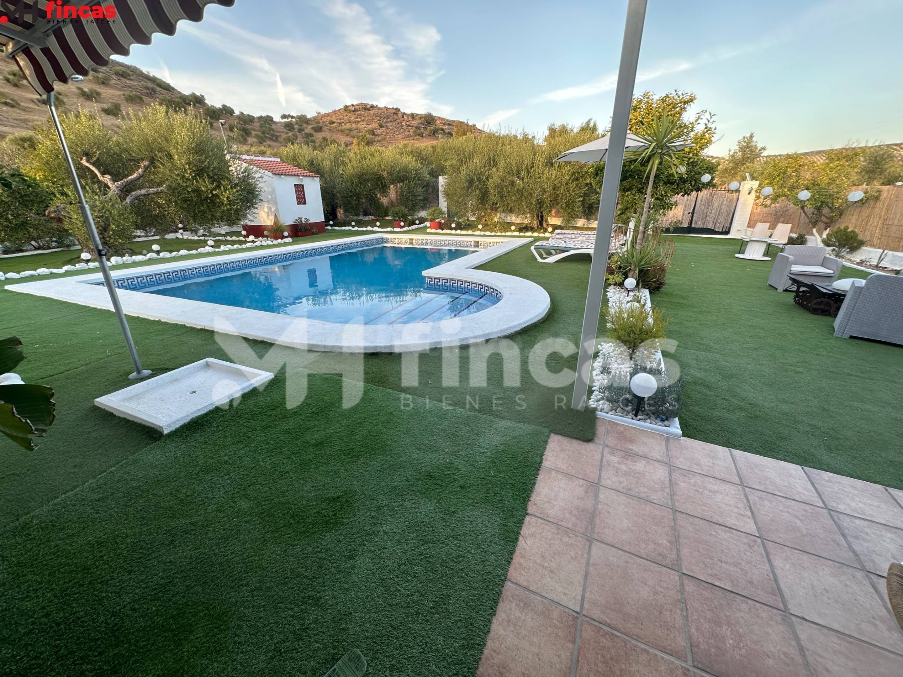 Finca de Olivar en Producción – 26 ha en Morón de la Frontera
