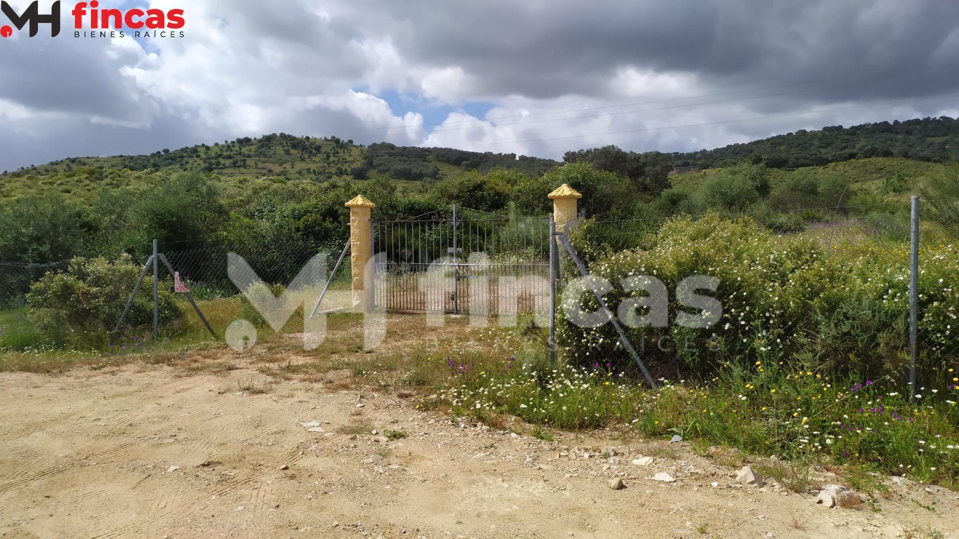 Finca patrimonial de dehesa con agua natural y edificaciones | 35 hectáreas en Sierra de Sevilla
