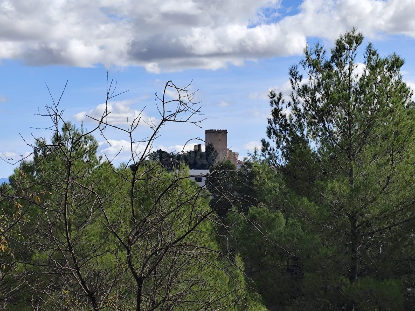 FINCA DE 60.000M2 VALLADA VISTAS DESPEJADAS AL PUEBLO DE MORATALLA