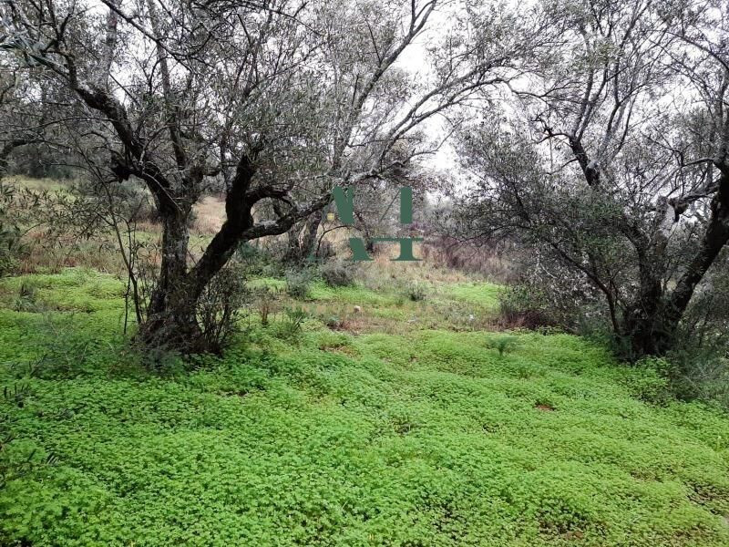 Terreno Rural en Zona Risco - Sierra de Fuentes