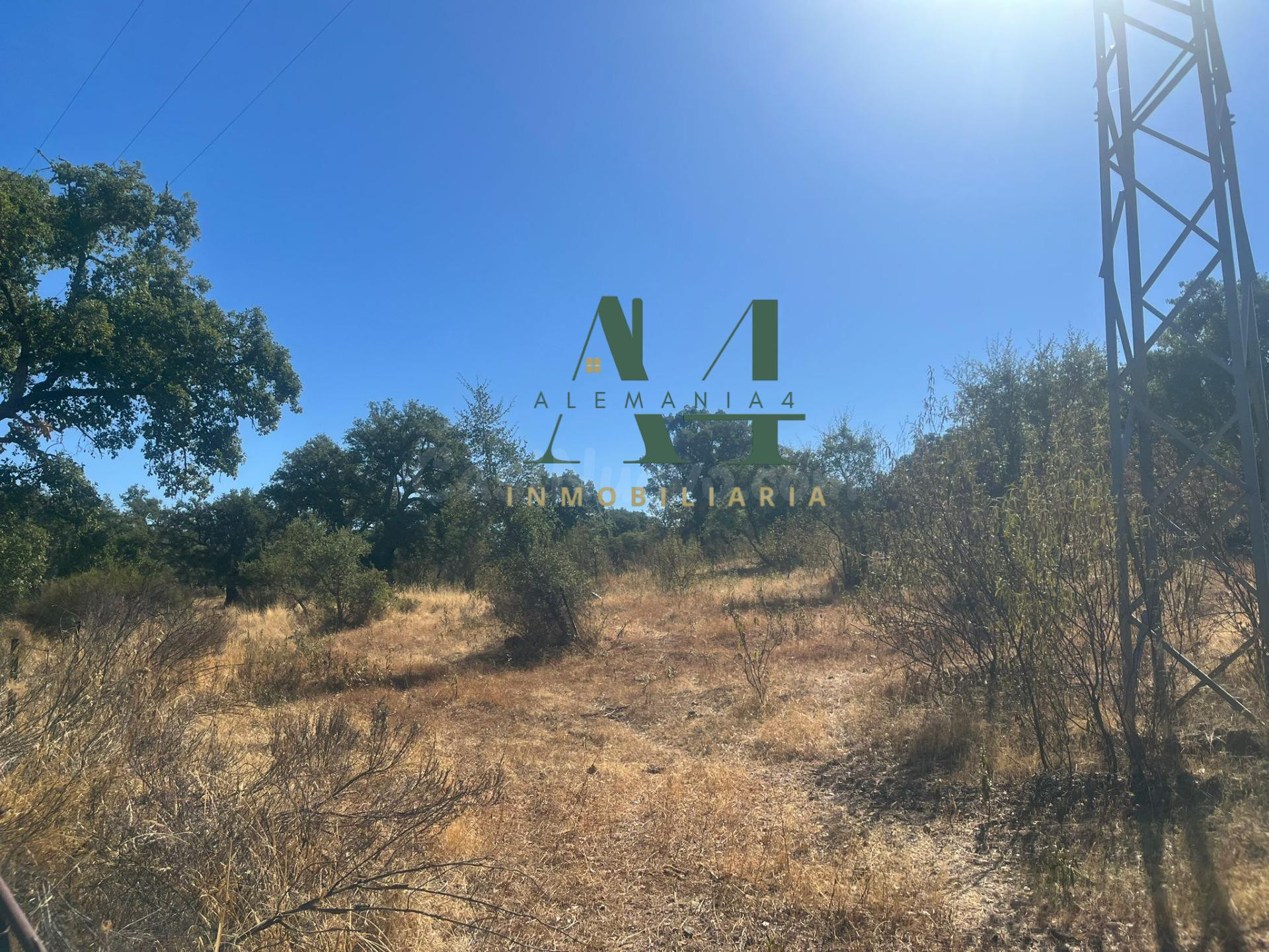 Finca de Corcho con Casa en provincia de Cáceres 🌳