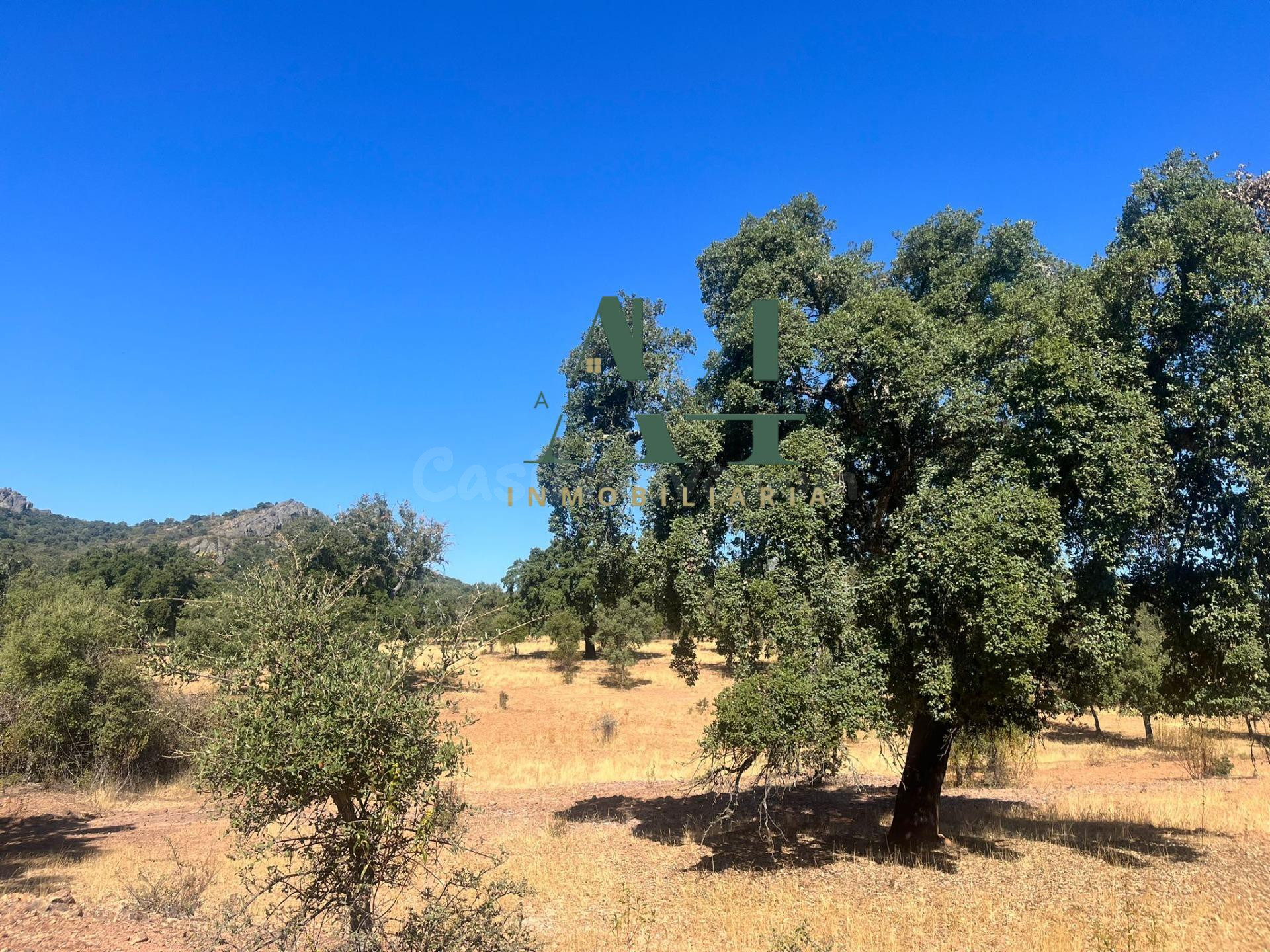 Finca de Corcho con Casa en provincia de Cáceres 🌳 - foto 2