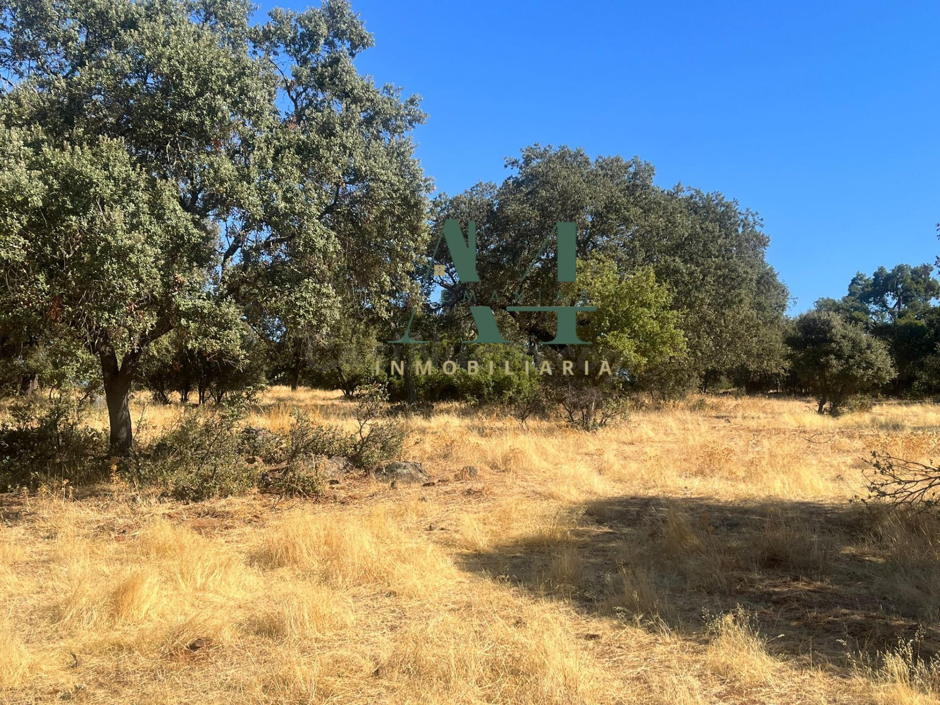 Finca de Corcho con Casa en provincia de Cáceres 🌳 - foto 4