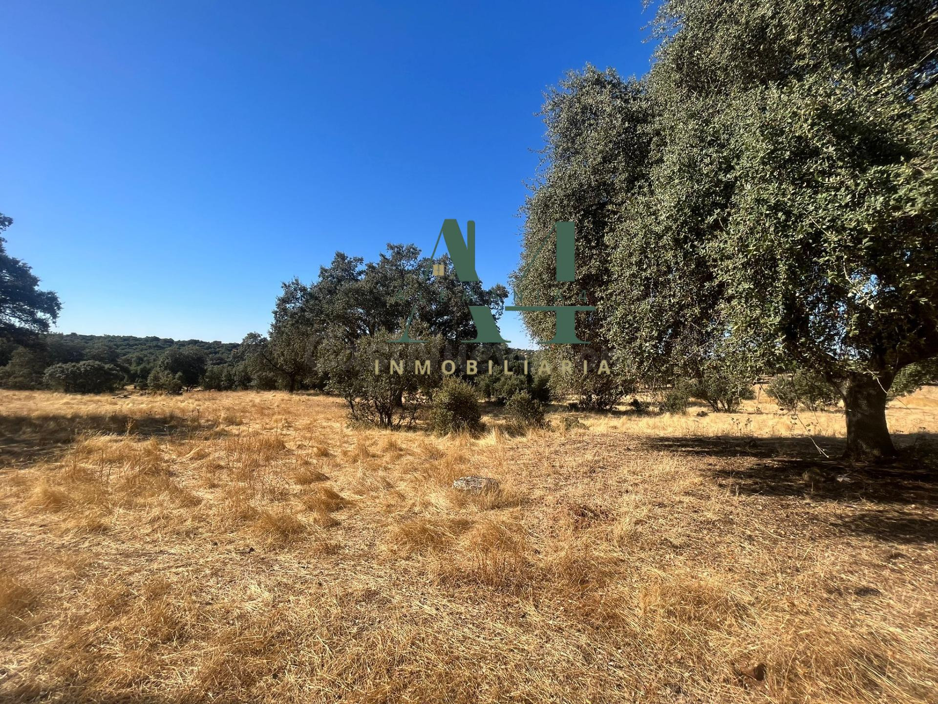 Finca de Corcho con Casa en provincia de Cáceres 🌳 - foto 5
