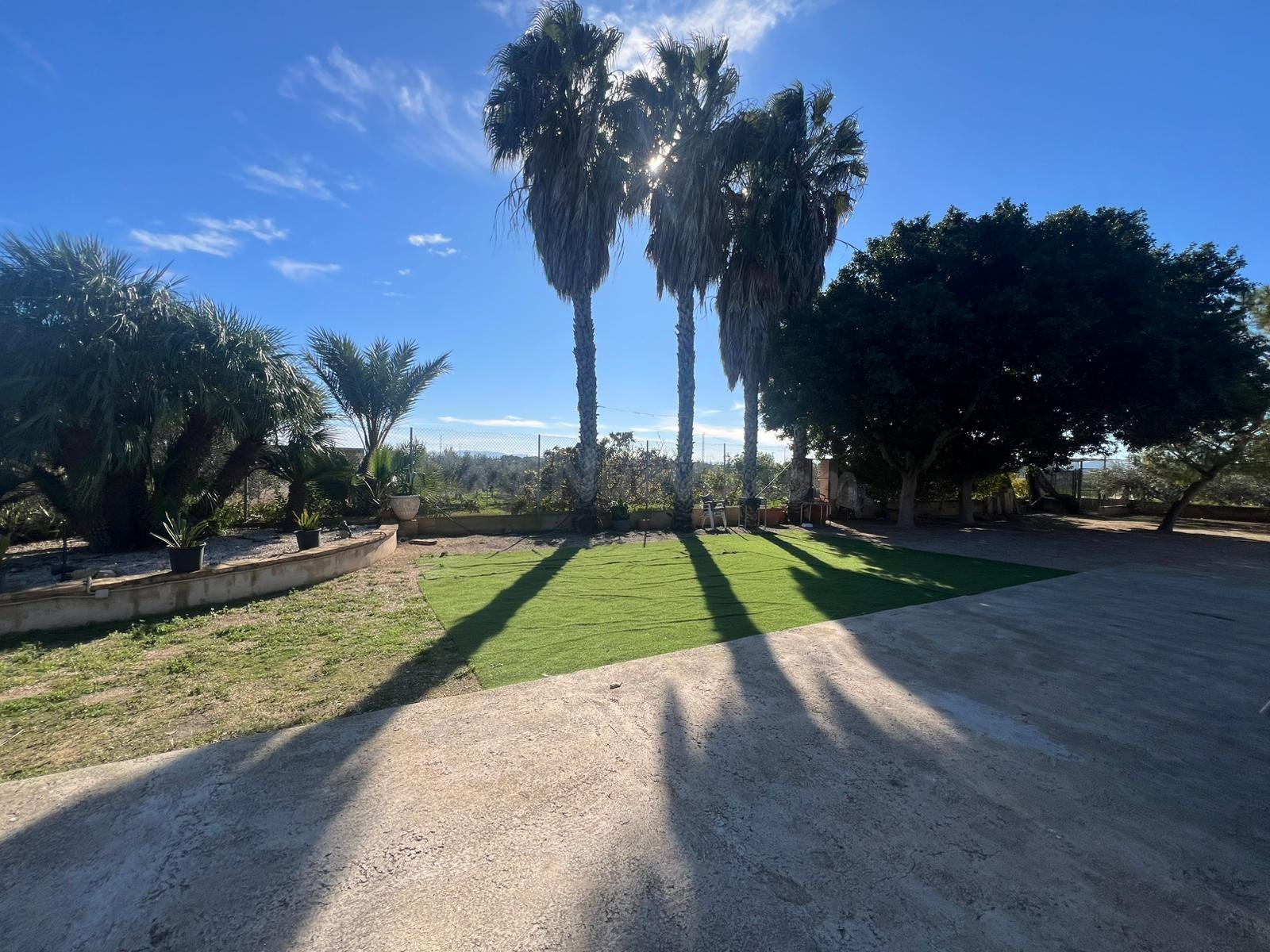 FINCA RUSTICA EN PARCELA EN 10.000 M2 JUNTO AL MAR MENOR - foto 2