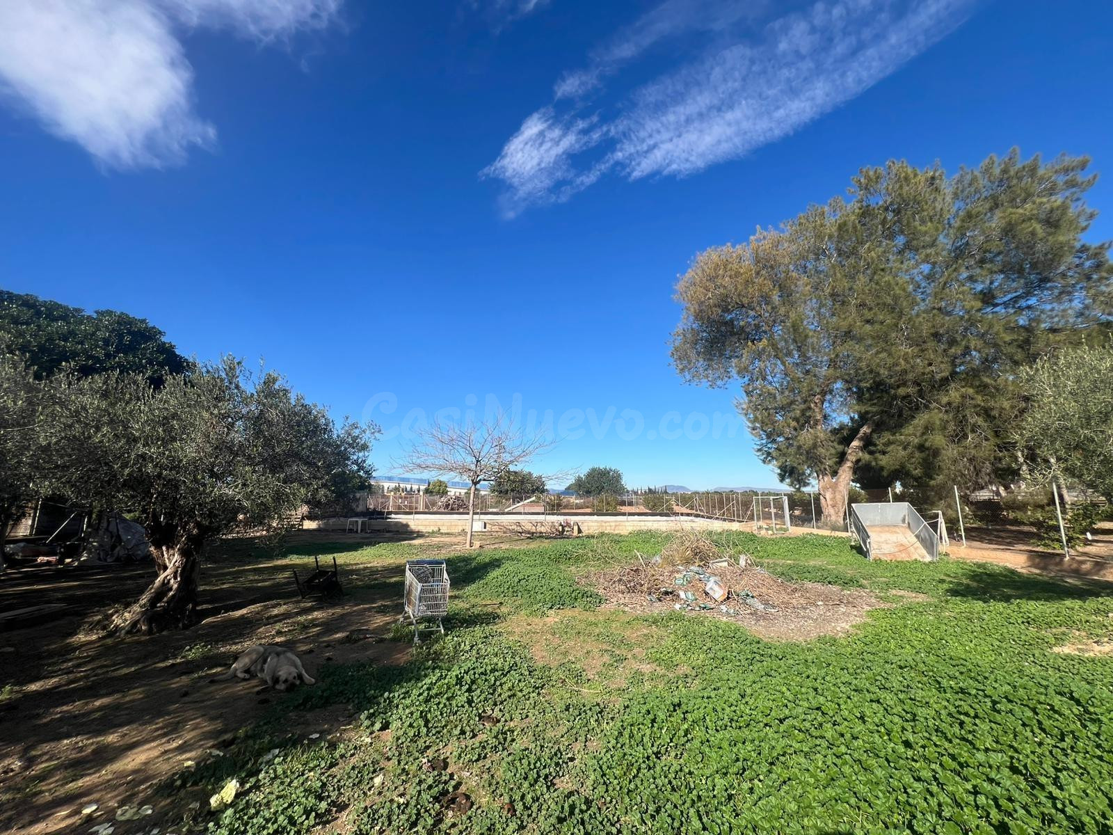 FINCA RUSTICA EN PARCELA EN 10.000 M2 JUNTO AL MAR MENOR - foto 3
