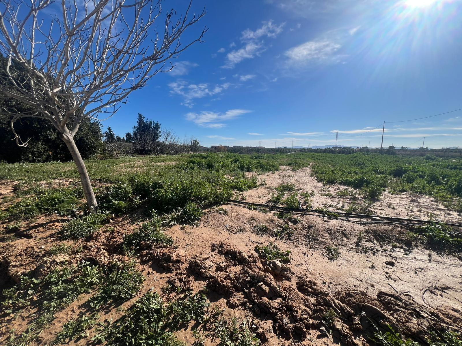 FINCA RUSTICA EN PARCELA EN 10.000 M2 JUNTO AL MAR MENOR - foto 4