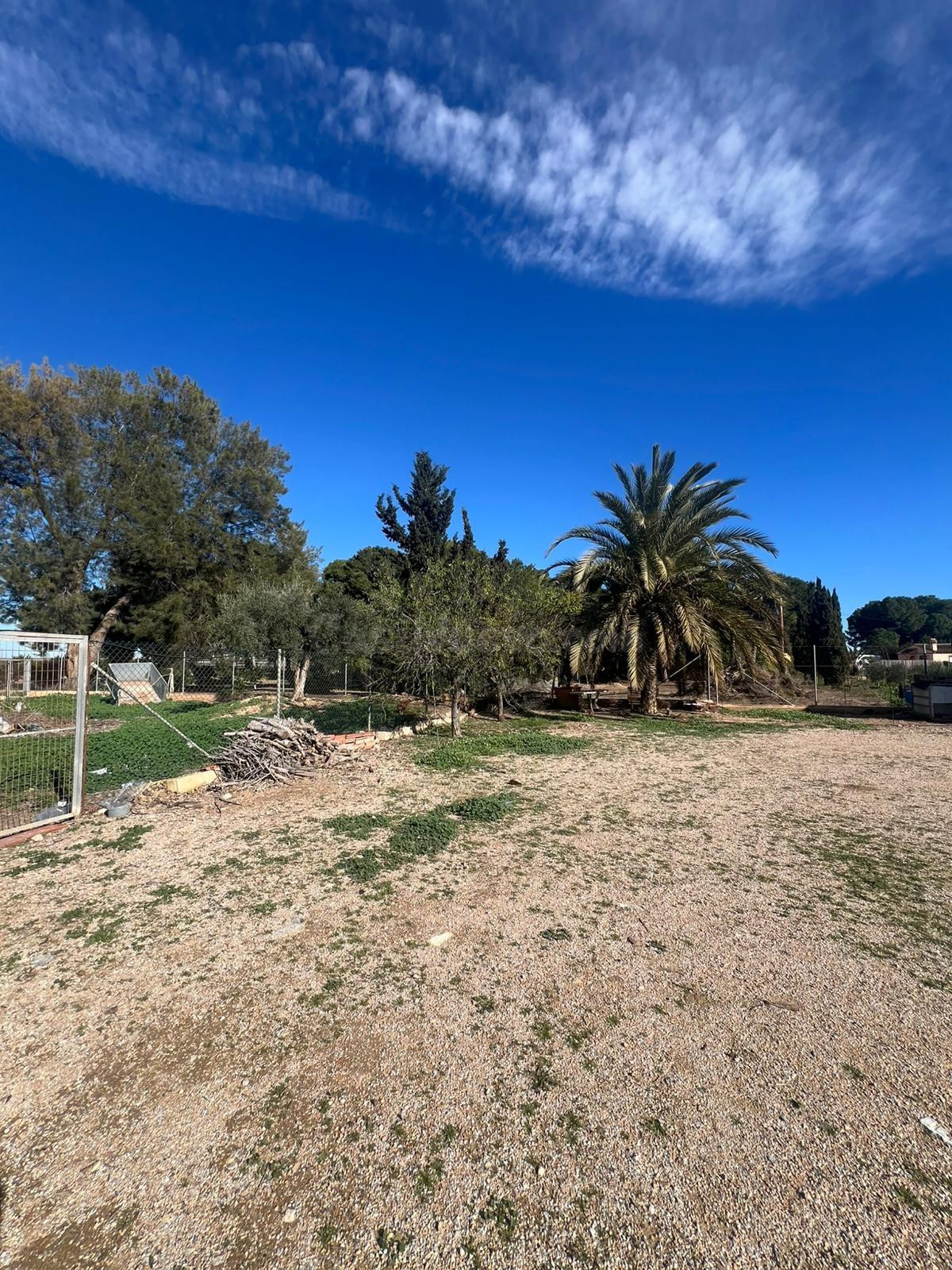 FINCA RUSTICA EN PARCELA EN 10.000 M2 JUNTO AL MAR MENOR - foto 5