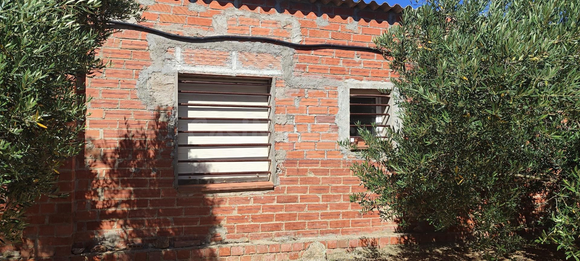 Finca rústica en venta en Cantallops – Olivos centenarios, viñas, huerto y construcción para vivienda con garaje - foto 5