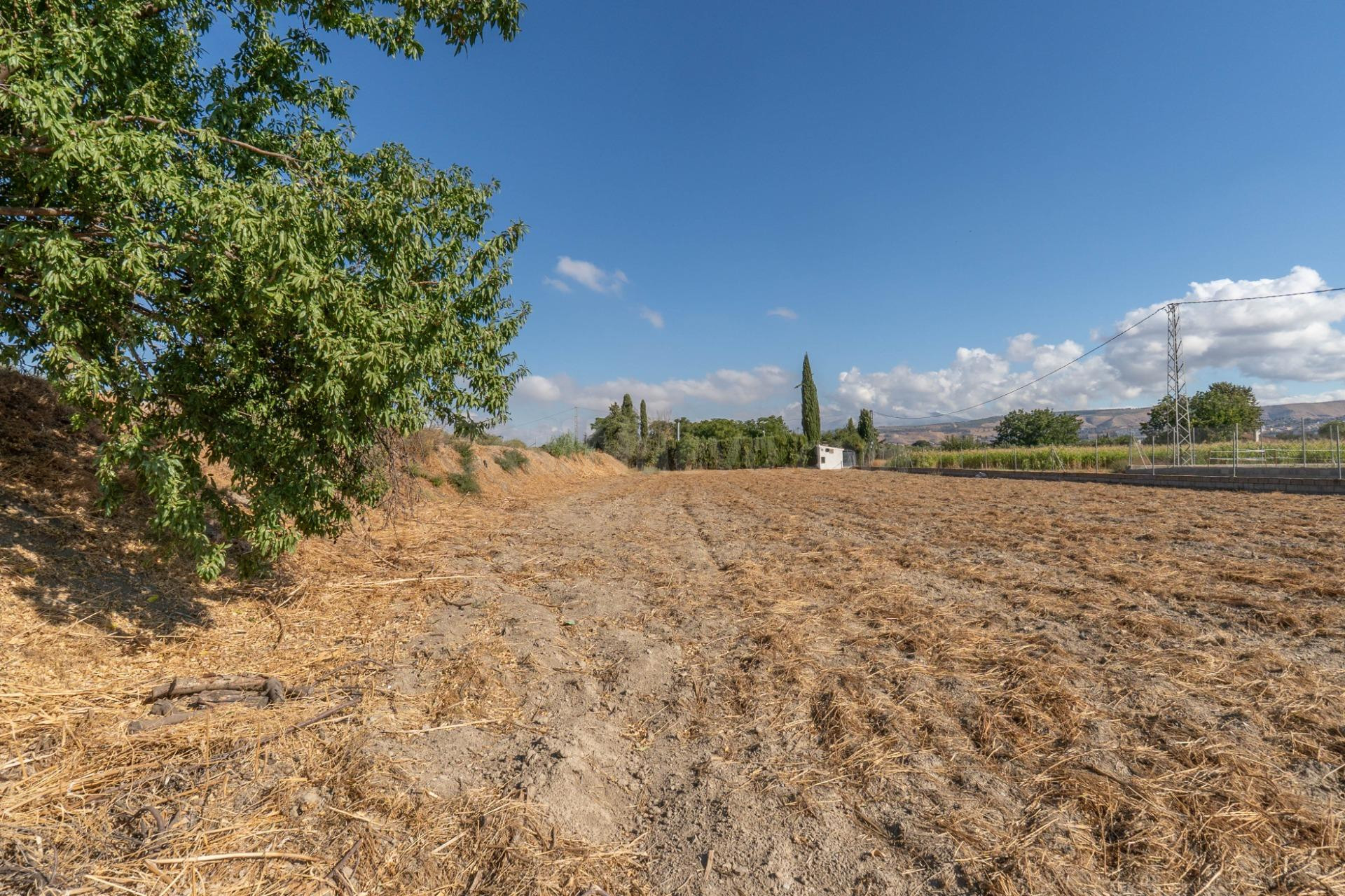 Terreno en venta en La Zubia