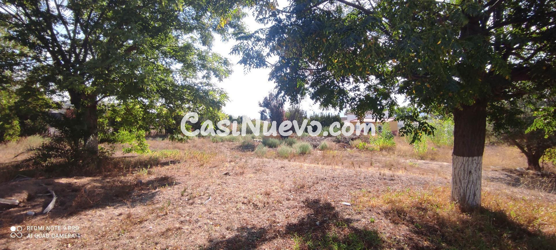 CASERIO DE CAMPO A 10KM DE MURCIA CAPITAL - foto 5