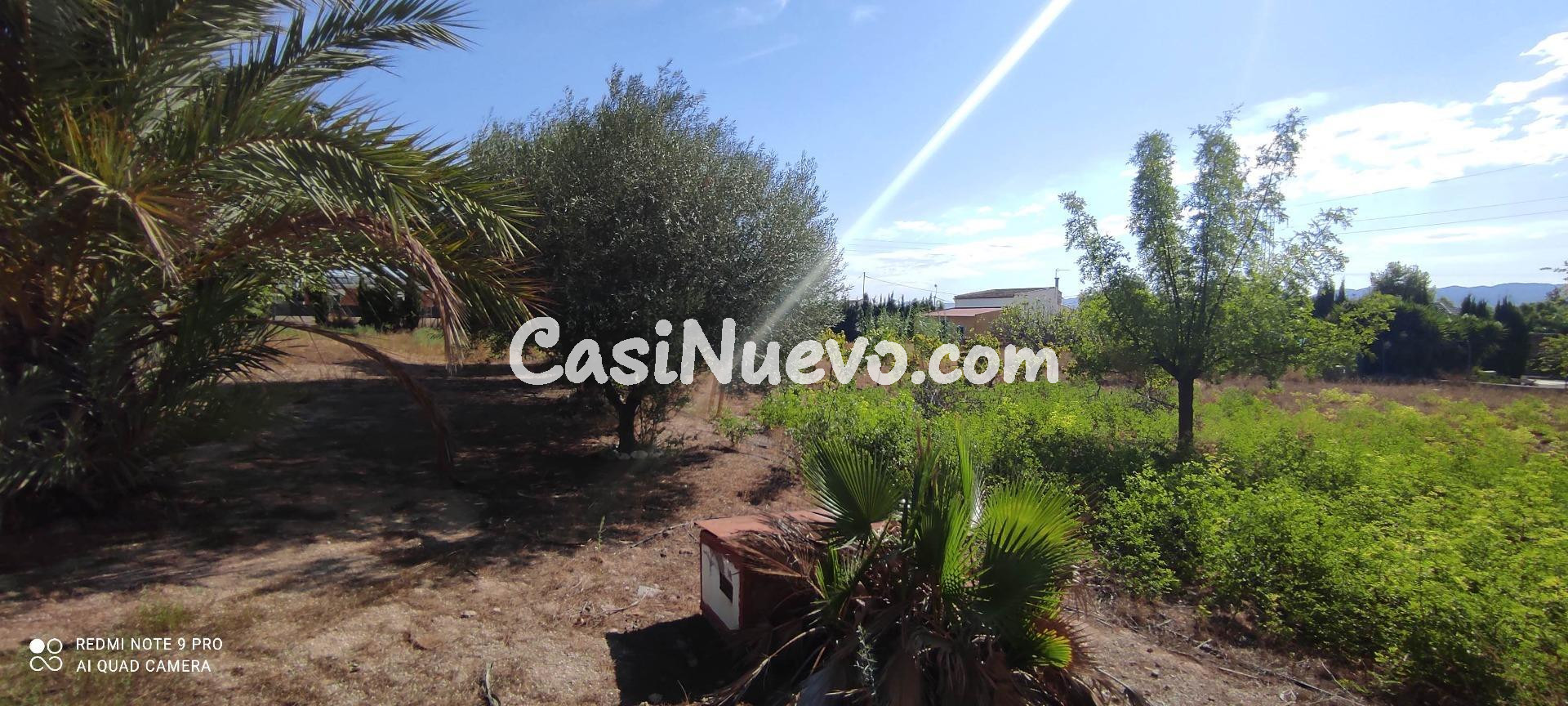 CASERIO DE CAMPO A 10KM DE MURCIA CAPITAL - foto 38