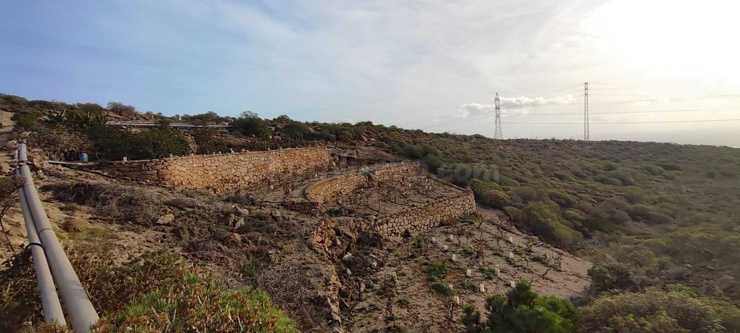 Terreno rústico con cuevas, tanque de agua y cultivo en Chimiche, Granadilla de Abona. - foto 3