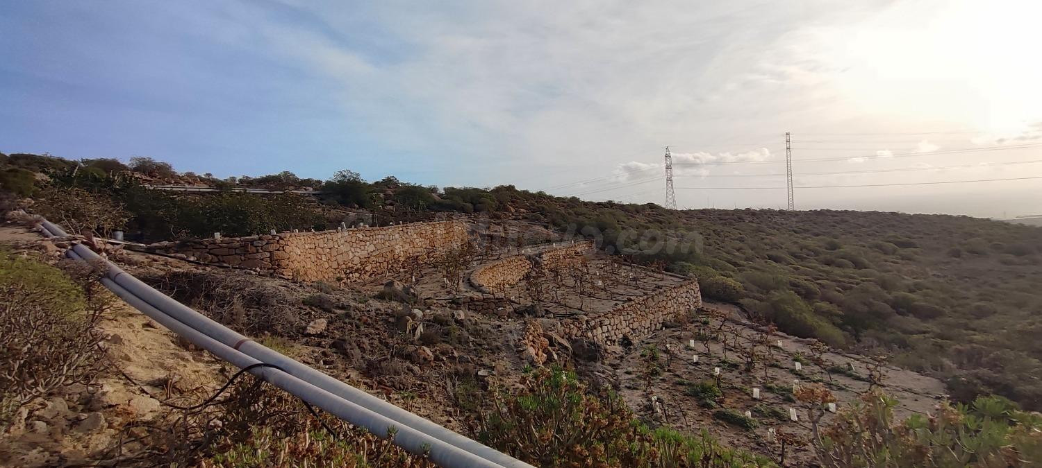 Terreno rústico con cuevas, tanque de agua y cultivo en Chimiche, Granadilla de Abona. - foto 4
