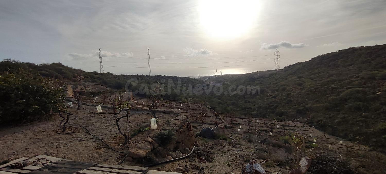 Terreno rústico con cuevas, tanque de agua y cultivo en Chimiche, Granadilla de Abona. - foto 5